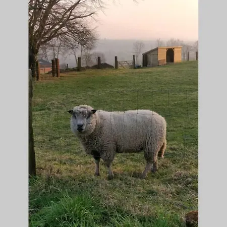 Le Portail Du Mont Montpinchon