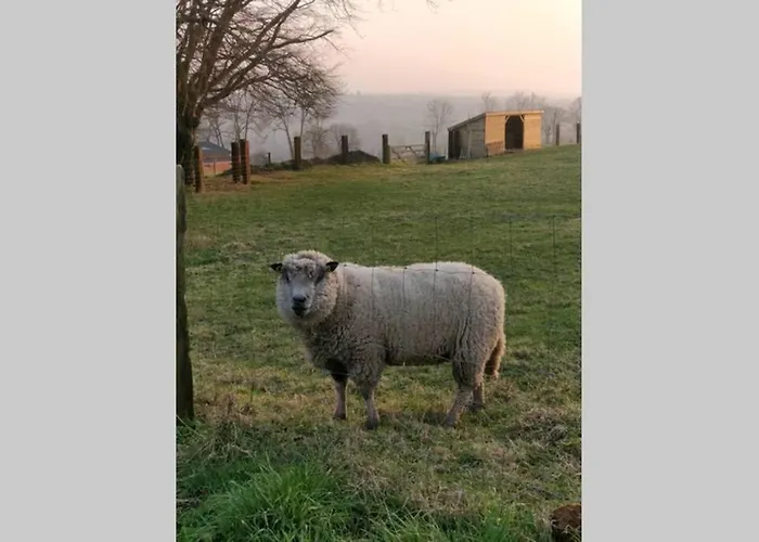 Le Portail Du Mont Montpinchon